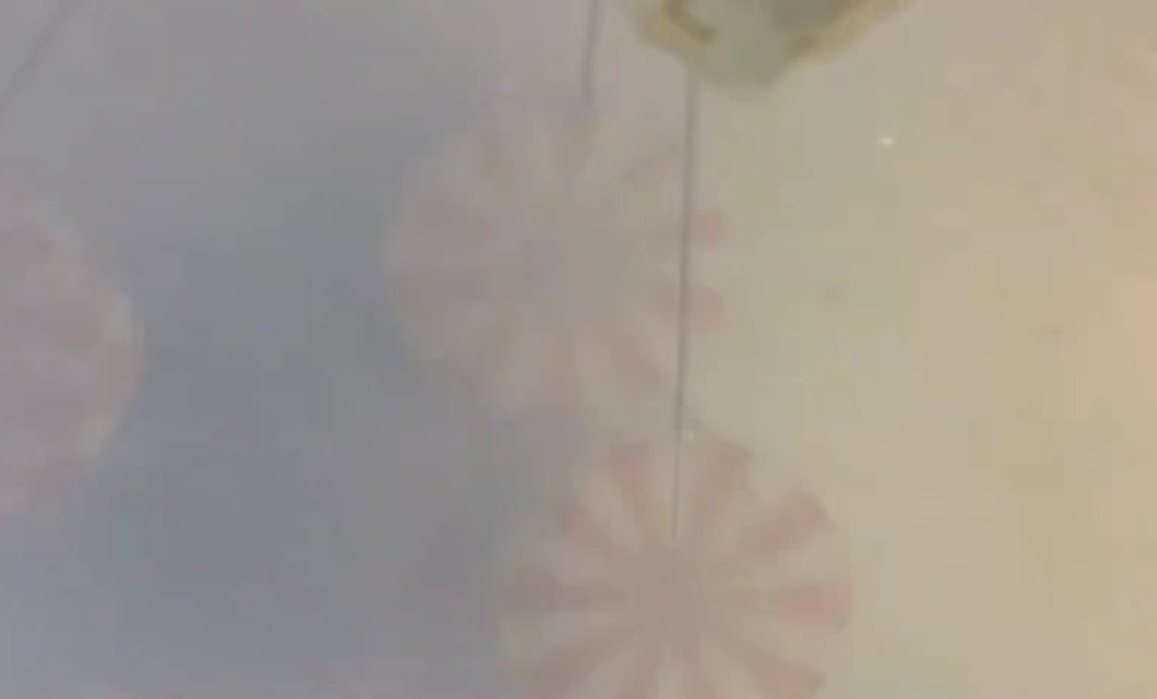 Frame final de aterrizaje de capsula ALFA-03